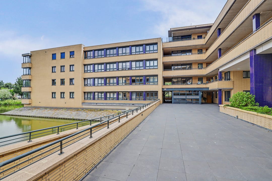 Photo 28 of Slangekruid 101