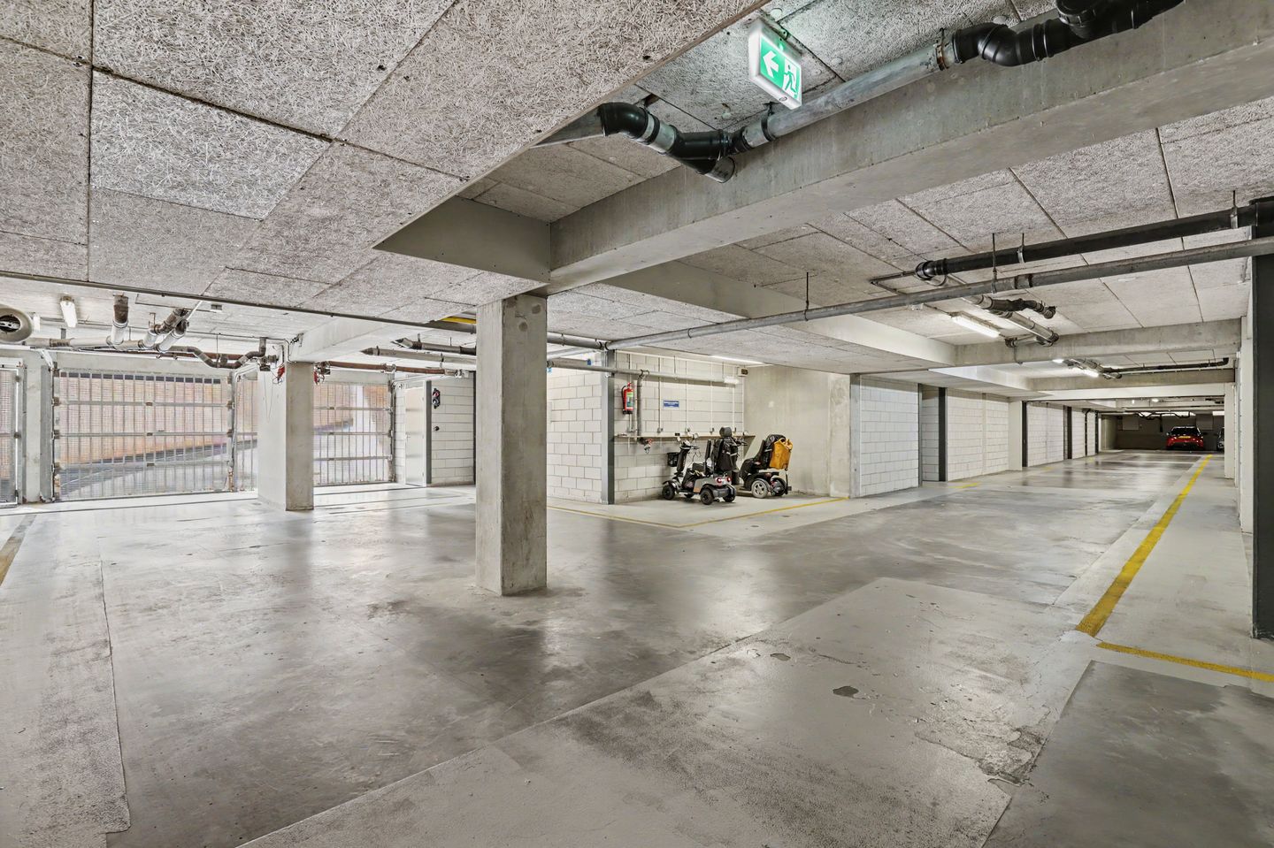 Photo 20 of Slangekruid 101
