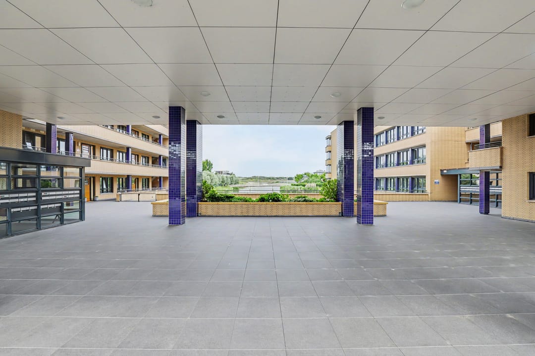 Photo 23 of Slangekruid 101