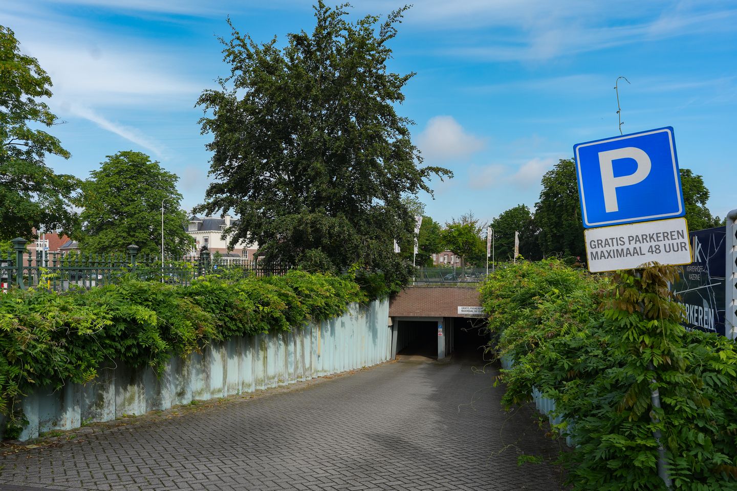 Bekijk foto 5 van Molenveldlaan 10-170