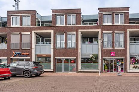 Dr. P. Rinsemastraat thumbnail