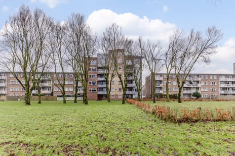Adigestraat thumbnail