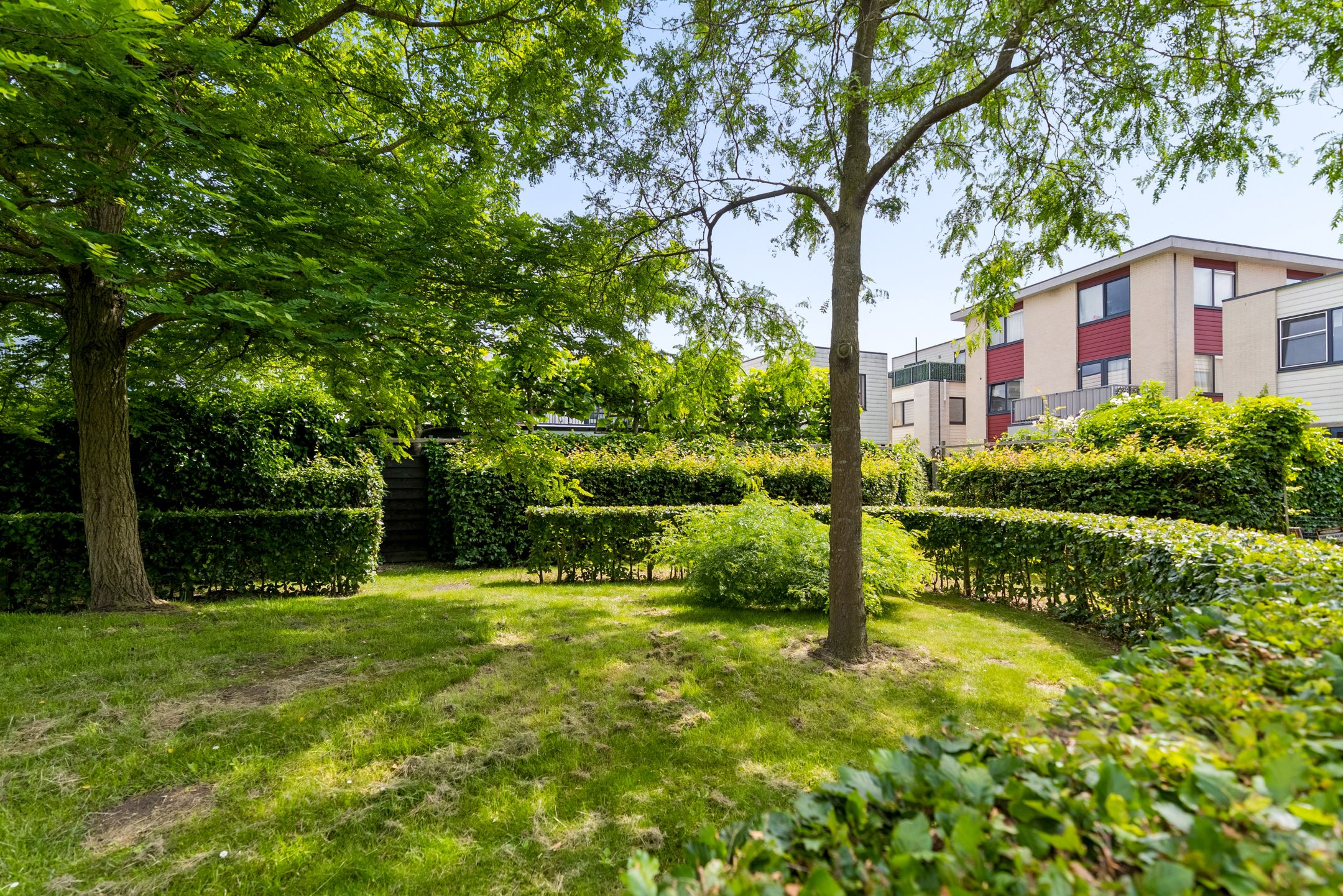 Photo 48 of Amorstraat 6