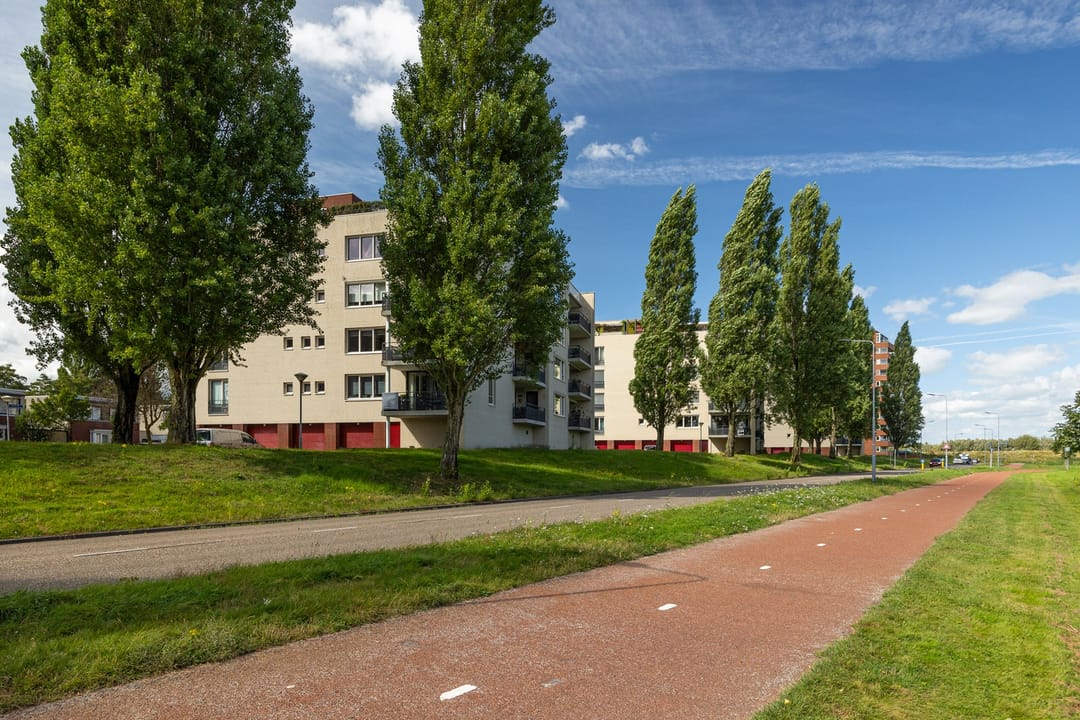 Photo 26 of Schout van Bergaignestraat 25