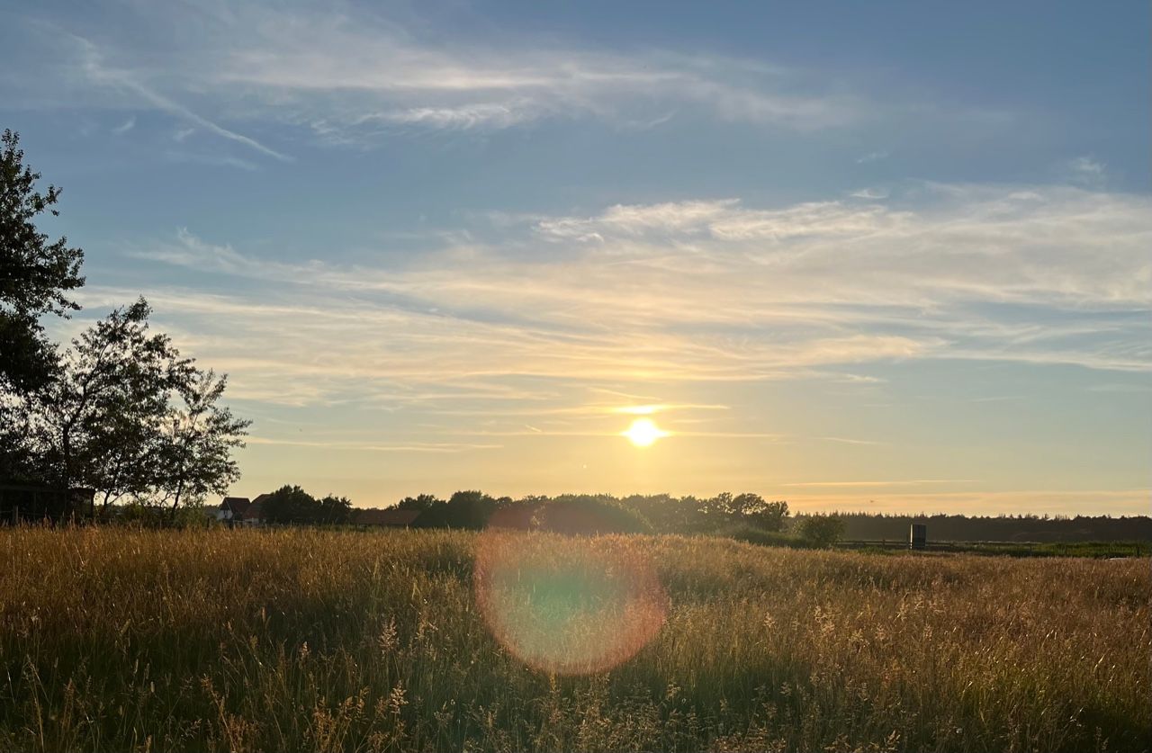 Photo 6 of Westerweg 47