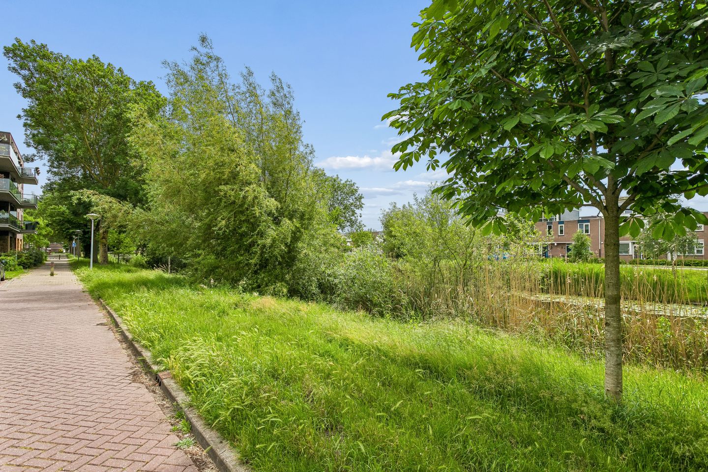 Photo 44 of Kornwierde 192