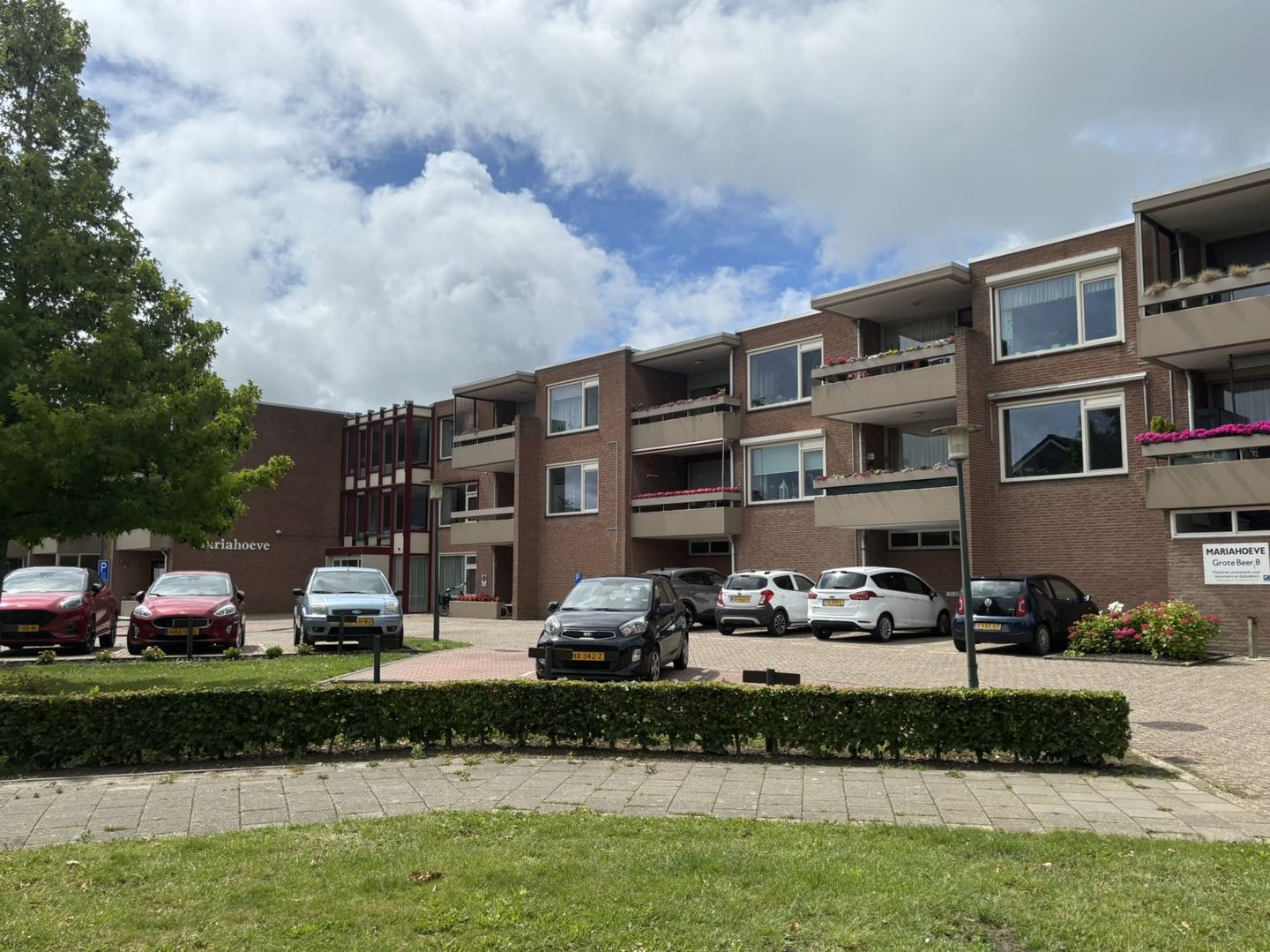 Photo 25 of Grote Beer 8-022