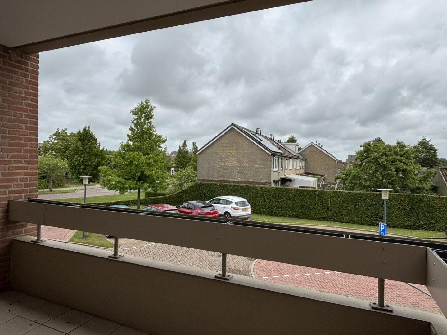 Photo 20 of Grote Beer 8-022