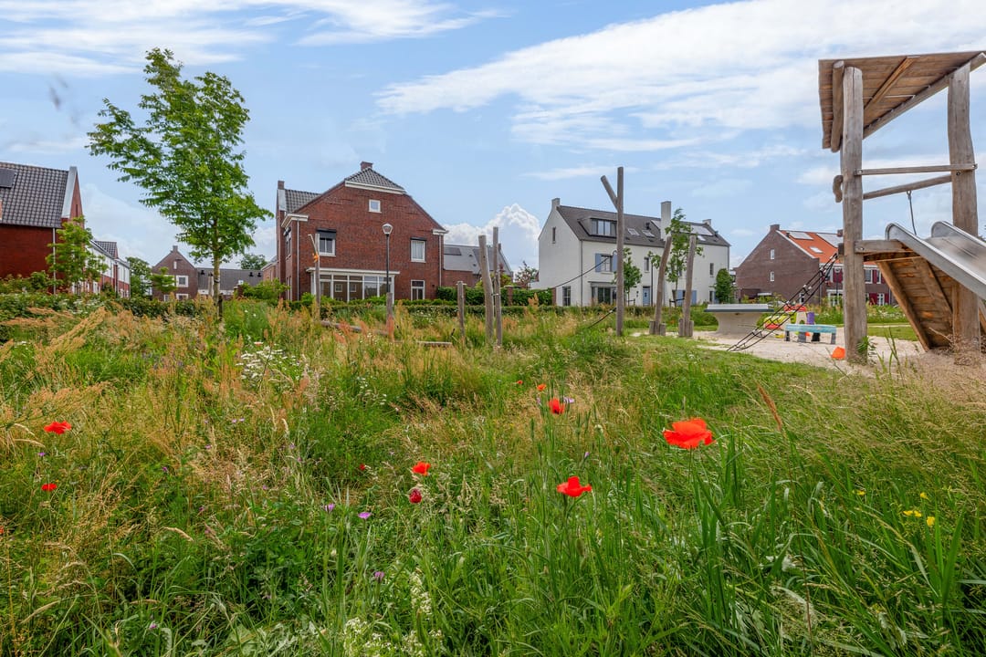 Foto 41 van Drieloper 27