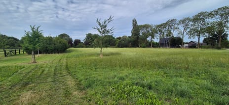 Hamstrastraat thumbnail