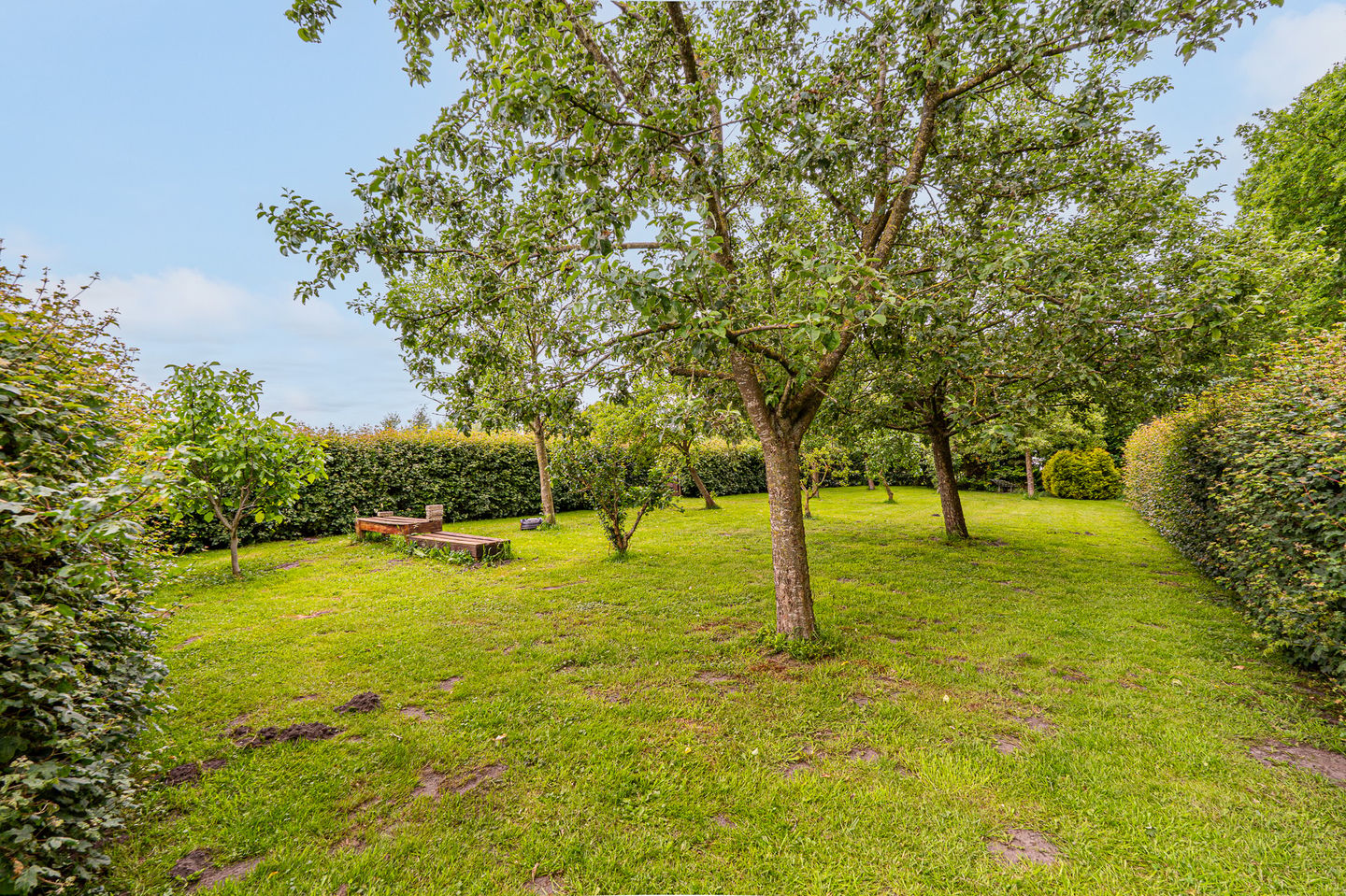 Foto 44 van Kringsloot-west 16