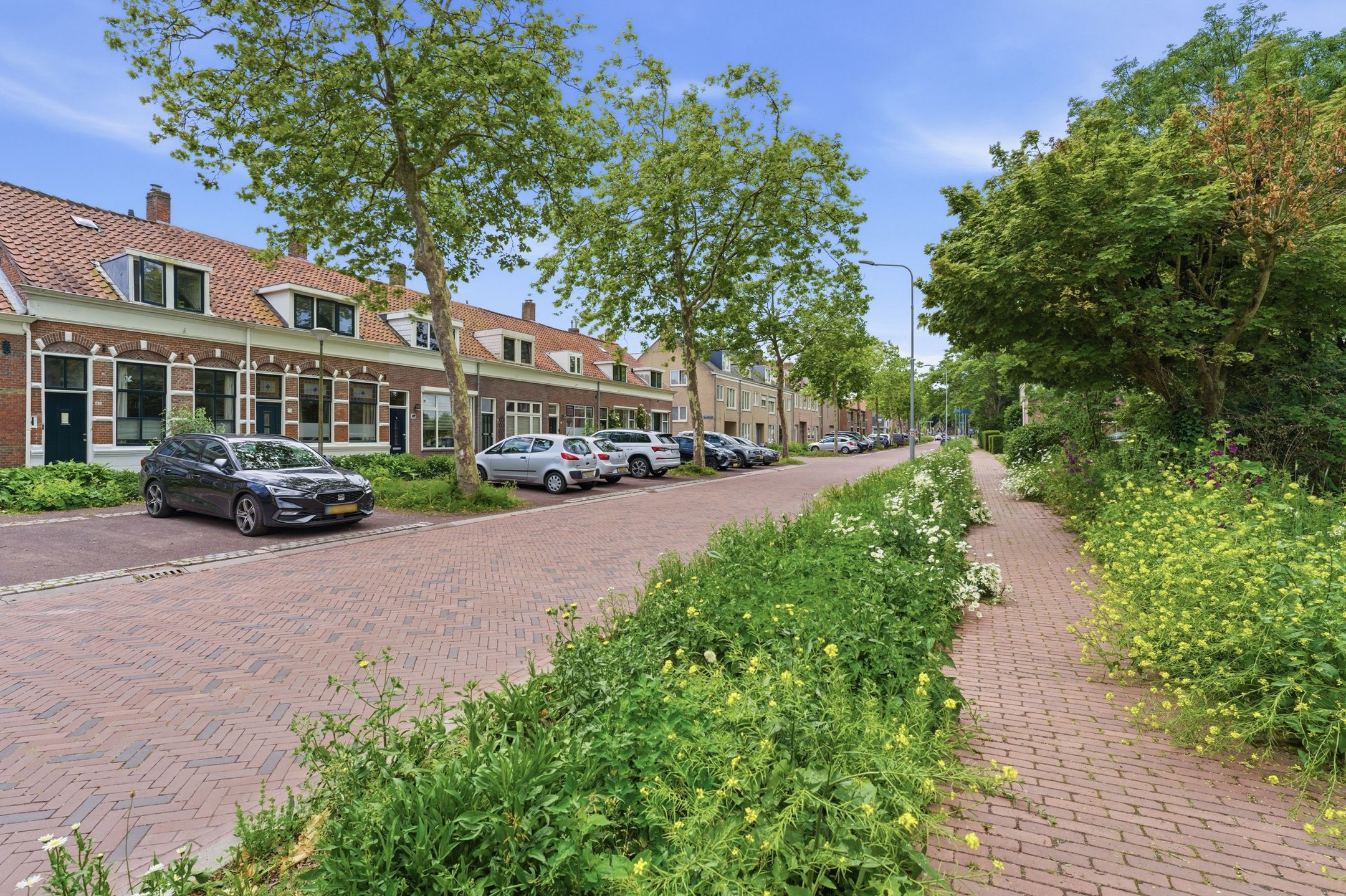 Photo 3 of Klein Vlaanderen 45