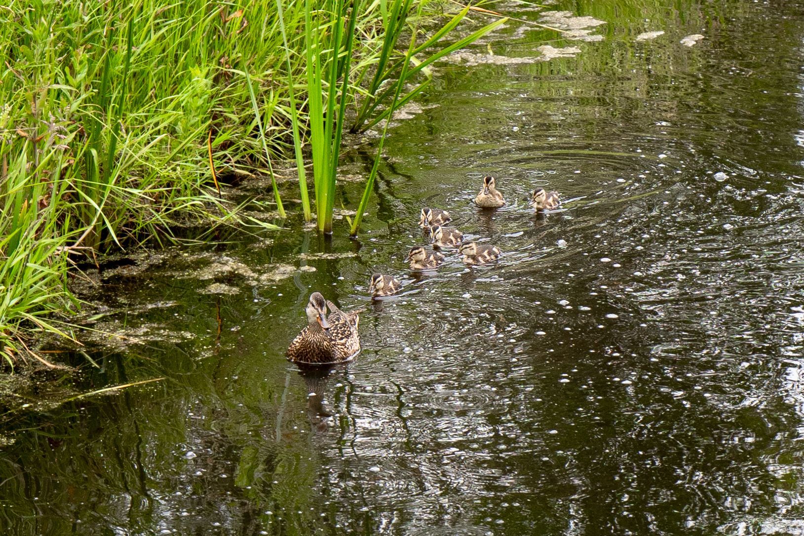 Photo 30 of Zonnegaarde 73