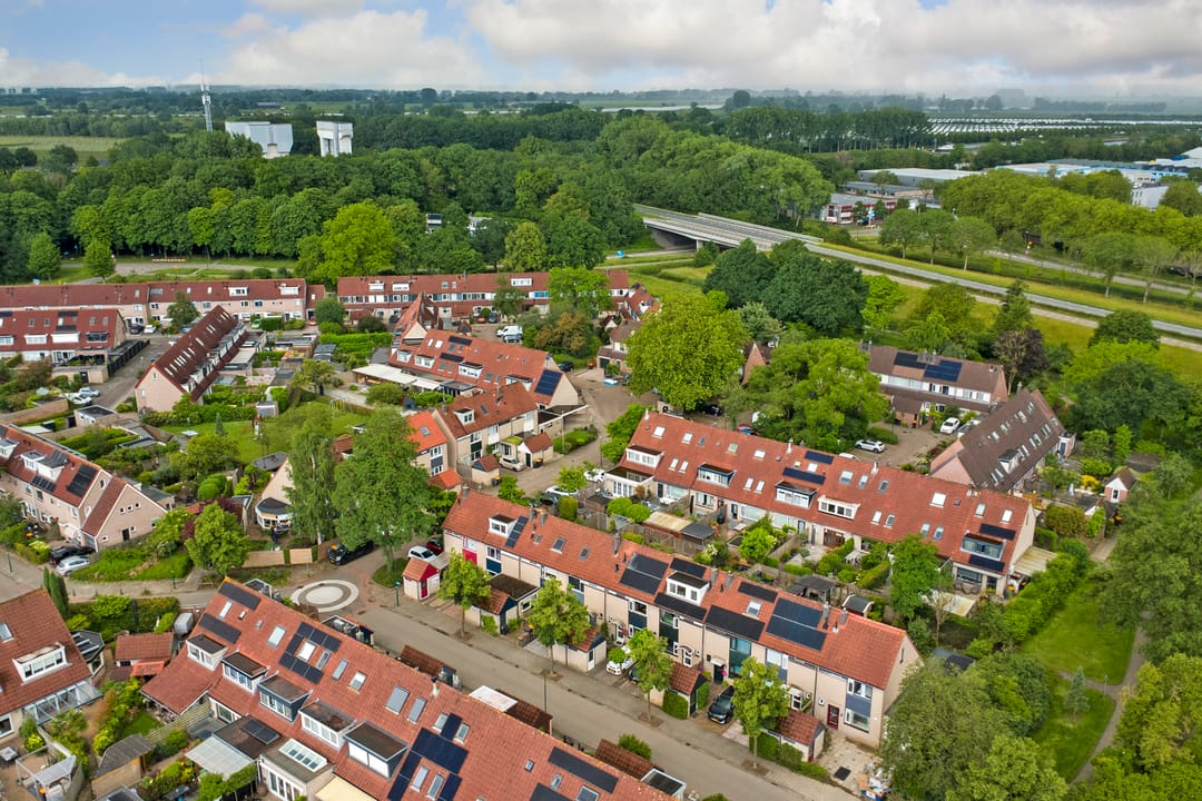 Photo 37 of Amstel 170