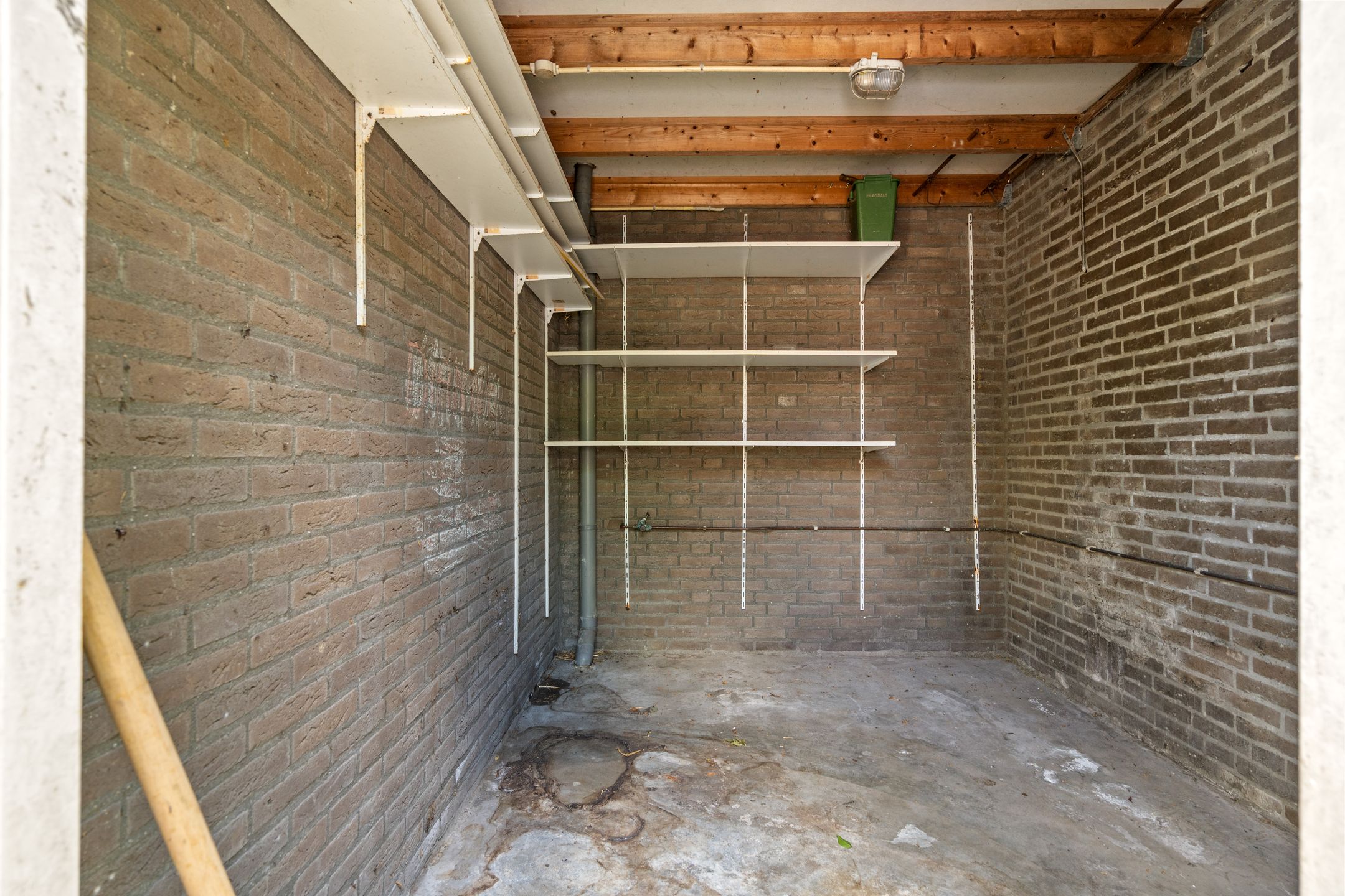 Photo 15 of Leverkruid 30