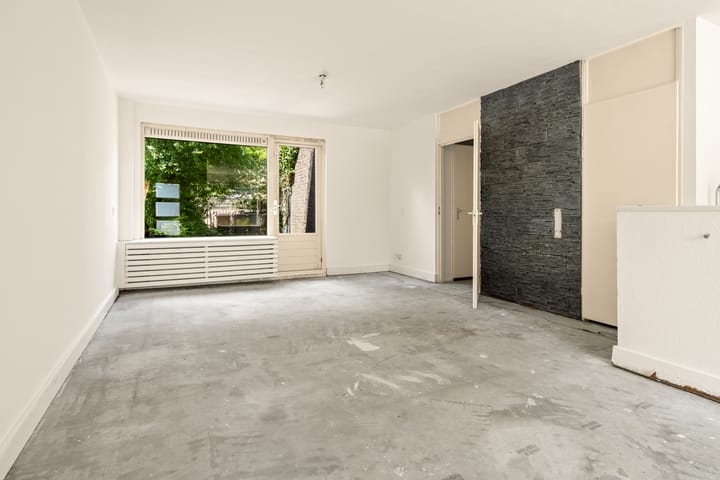Foto 4 van Leverkruid 30