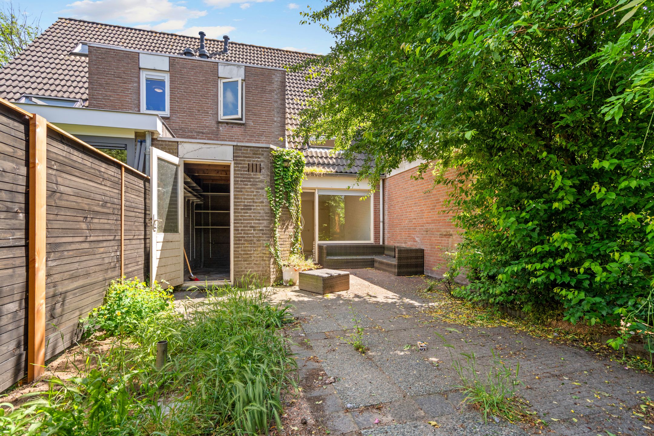 Photo 18 of Leverkruid 30