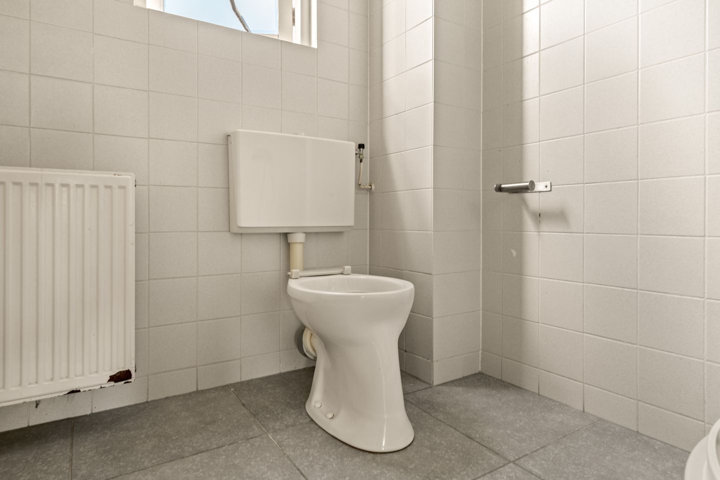Photo 29 of Leverkruid 30