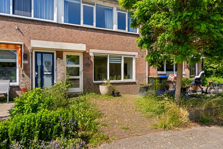 Foto 3 van Leverkruid 30