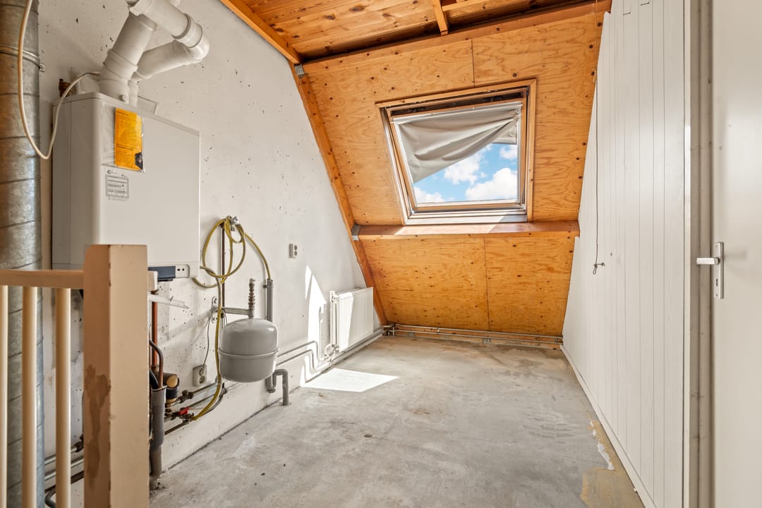 Photo 32 of Leverkruid 30