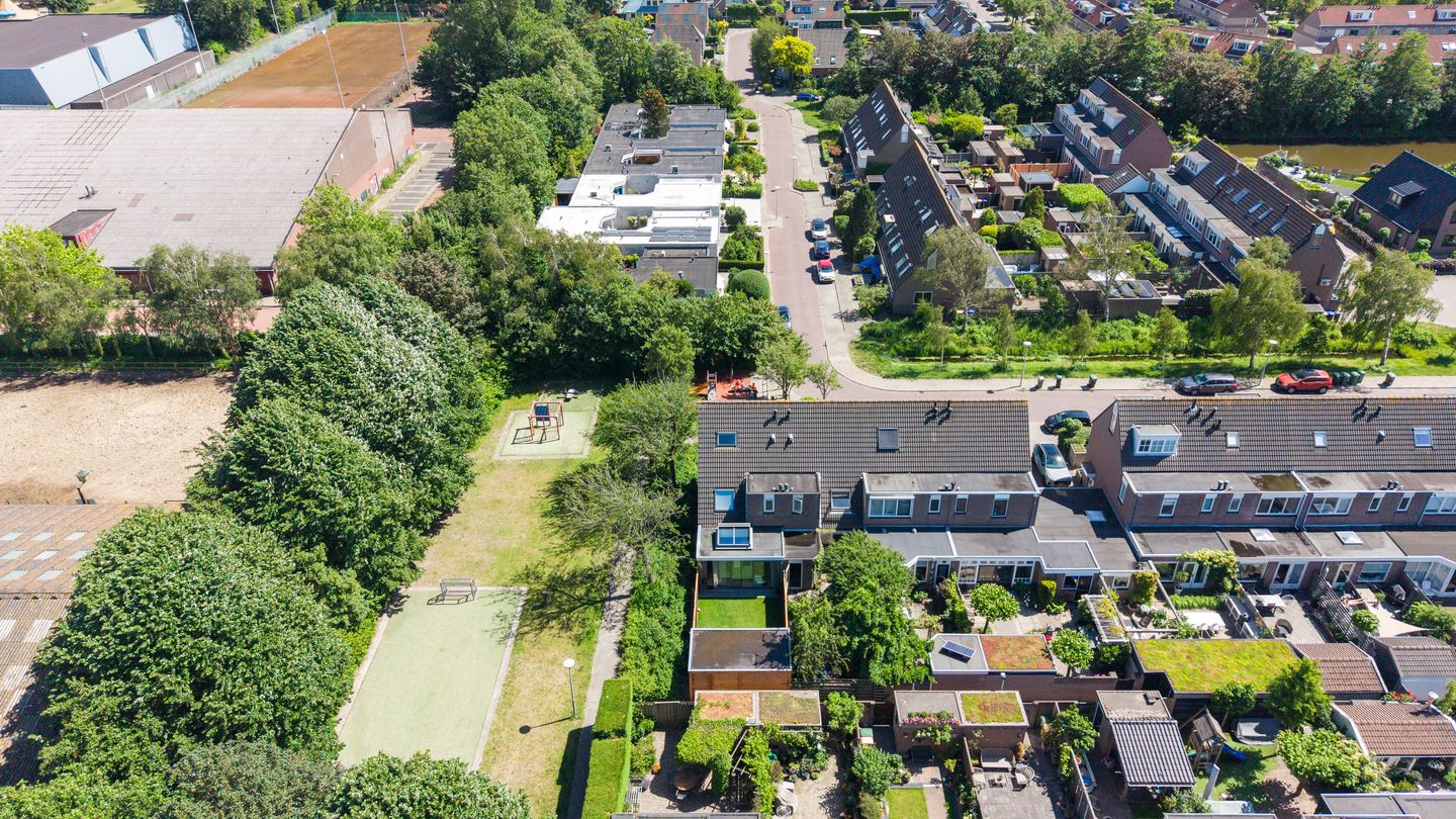Photo 40 of Leverkruid 30