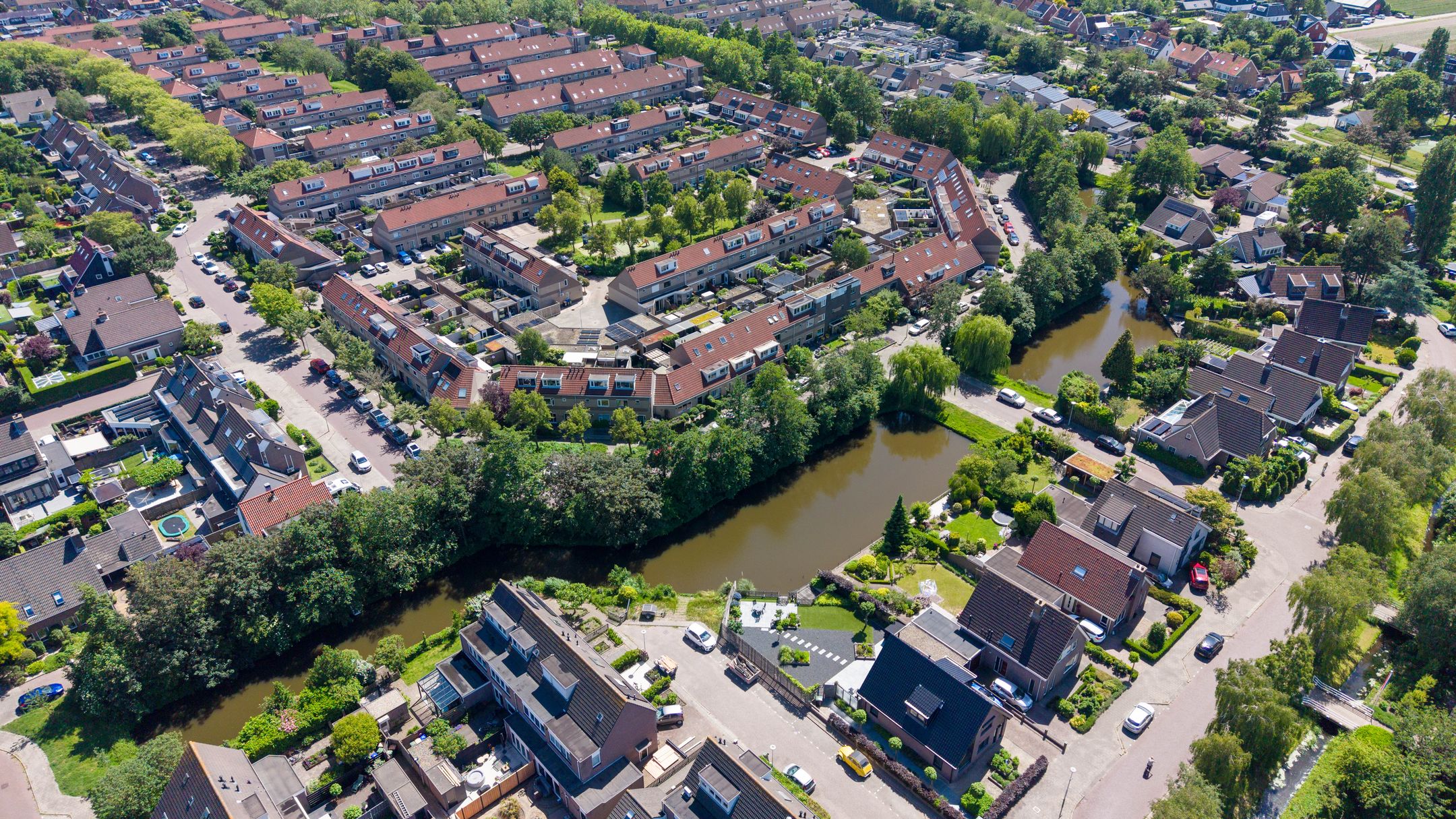 Photo 42 of Leverkruid 30