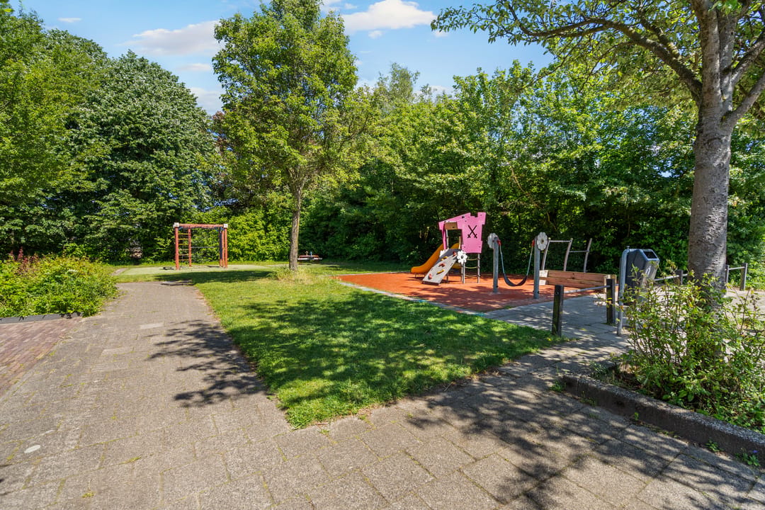 Photo 37 of Leverkruid 30