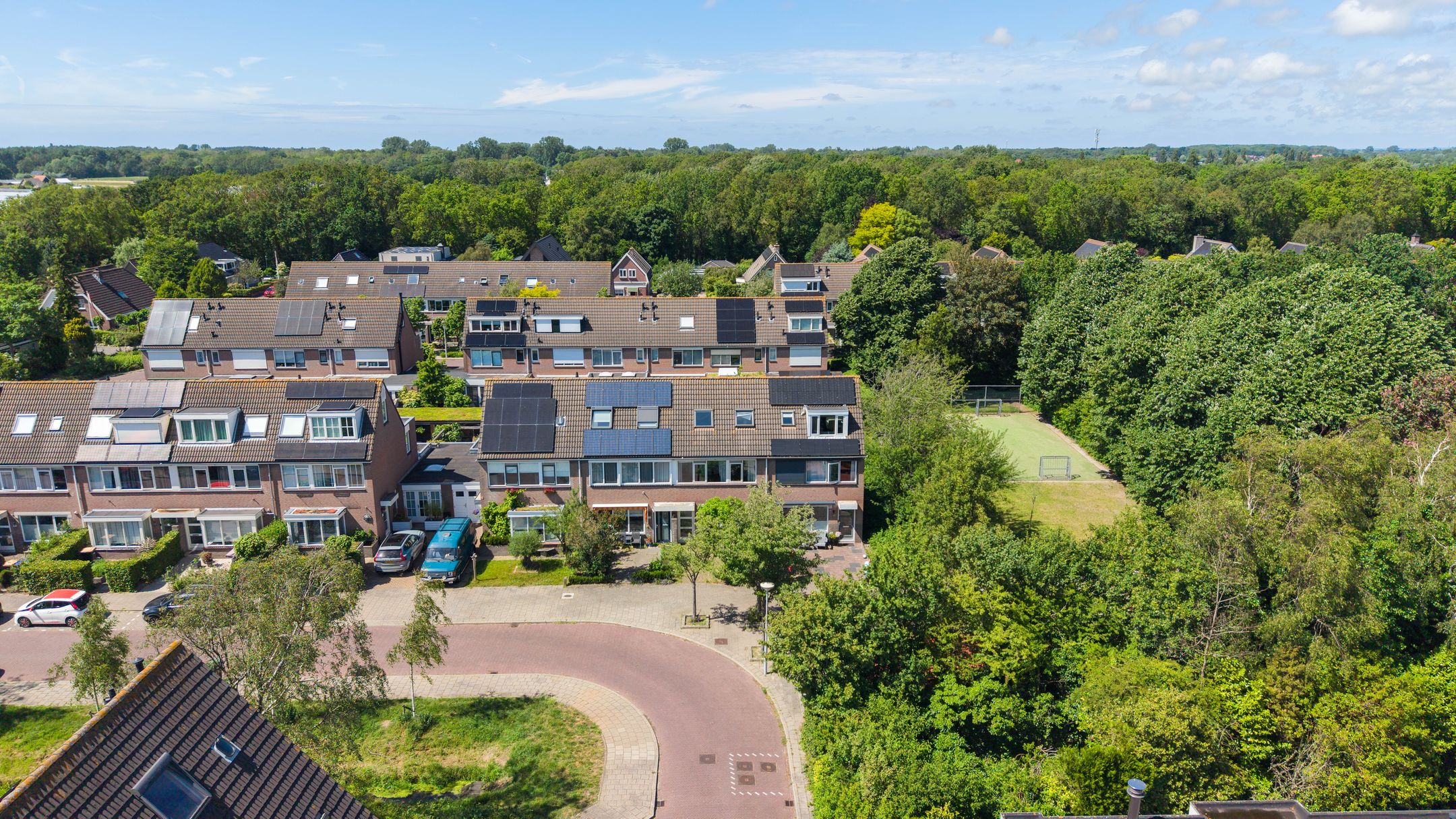 Photo 39 of Leverkruid 30