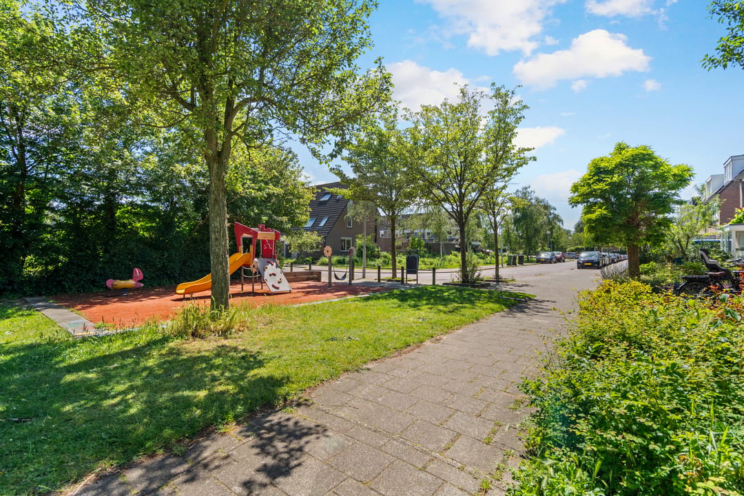 Photo 38 of Leverkruid 30