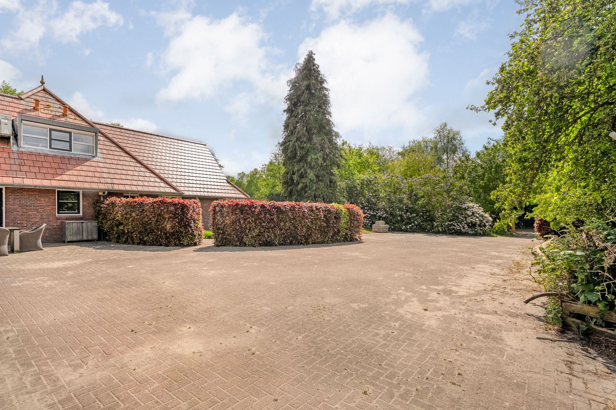 Photo 69 of Job Holkemawijk 19