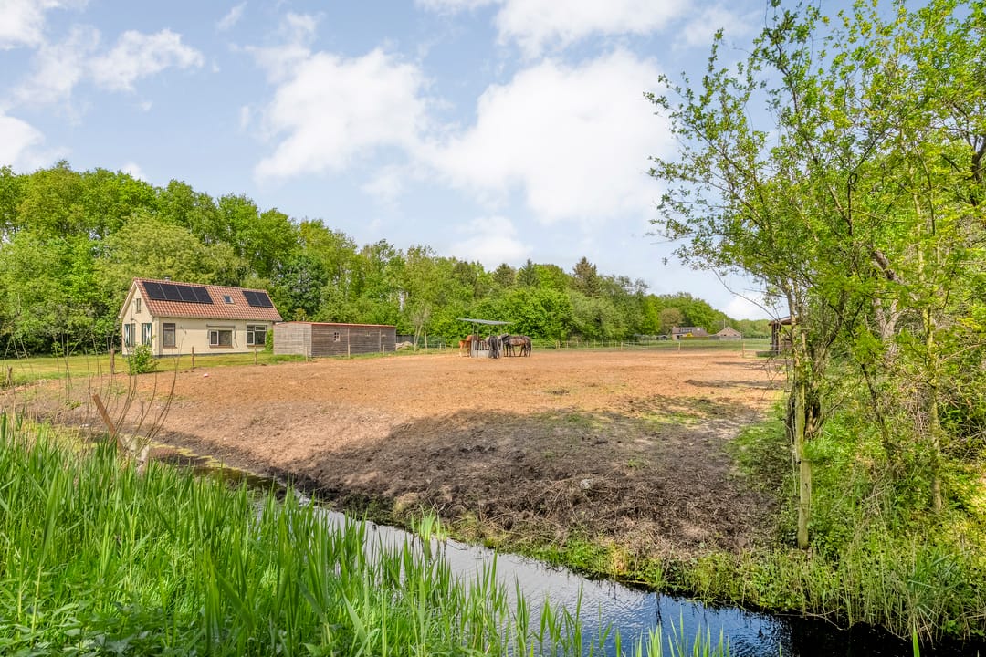 Photo 61 of Job Holkemawijk 19