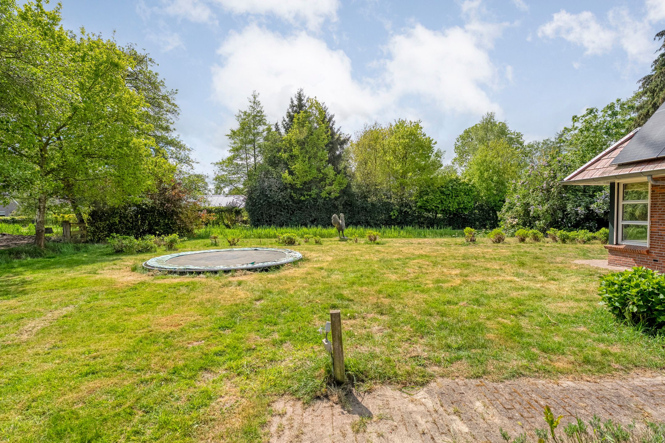 Photo 66 of Job Holkemawijk 19