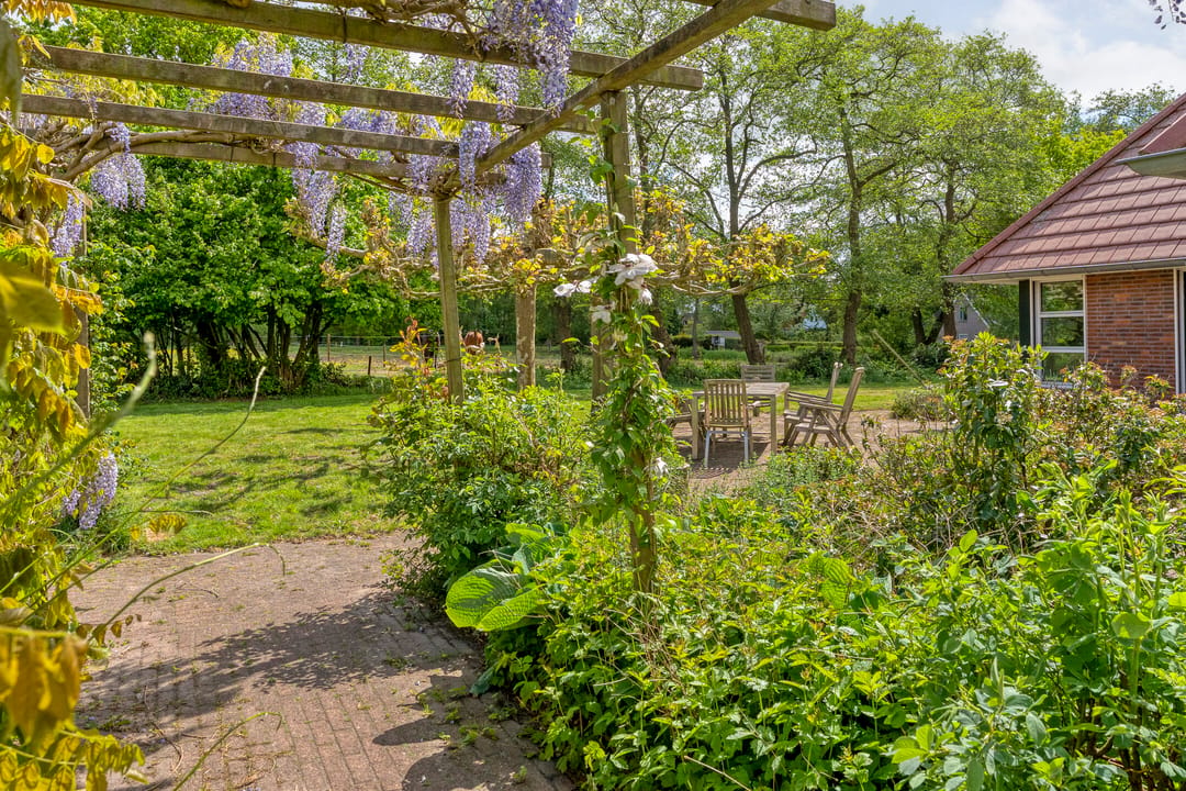 Photo 62 of Job Holkemawijk 19