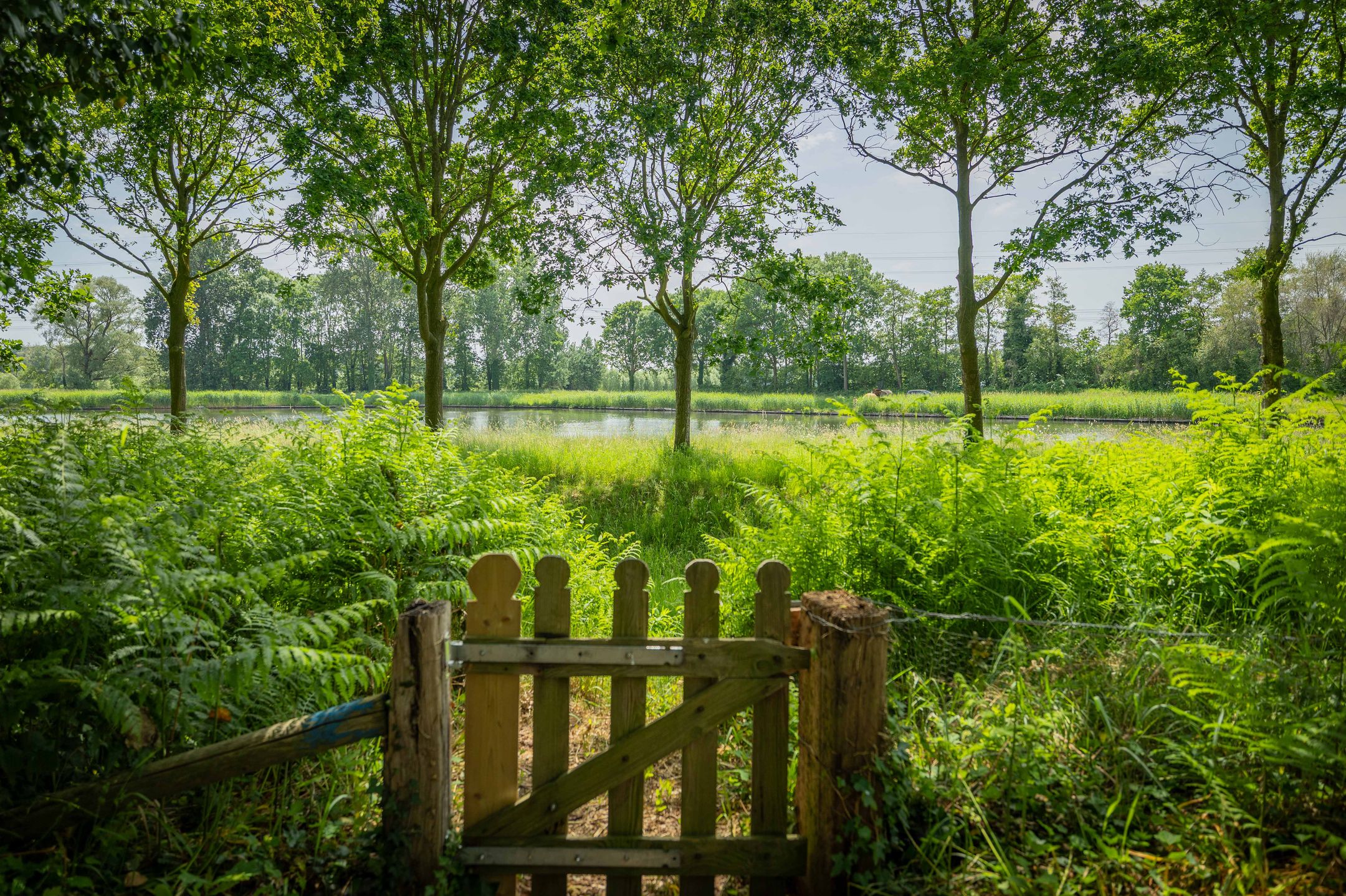 Foto 6 van Scheggertdijk 90