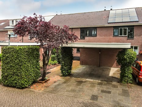 Petmolenstraat thumbnail