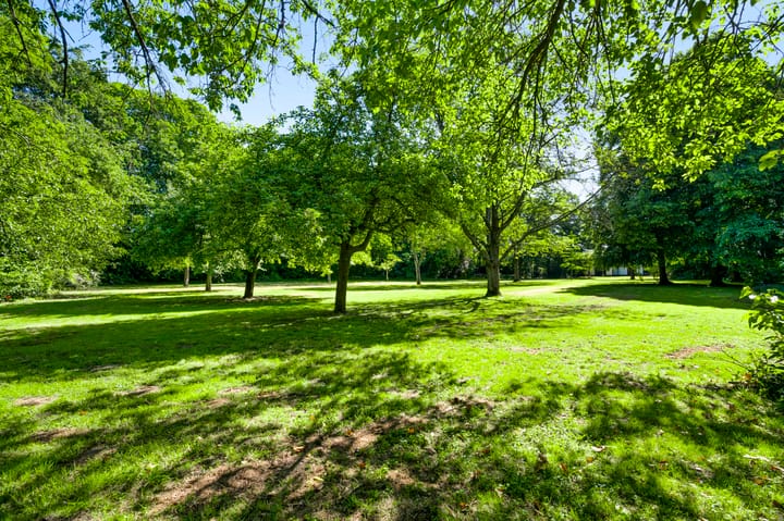 Foto 2 van Stadhouderlaan 23