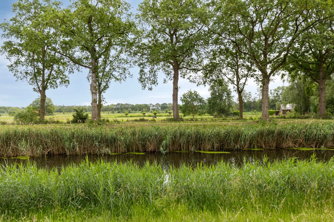 Photo 38 of Bisschopsland 10