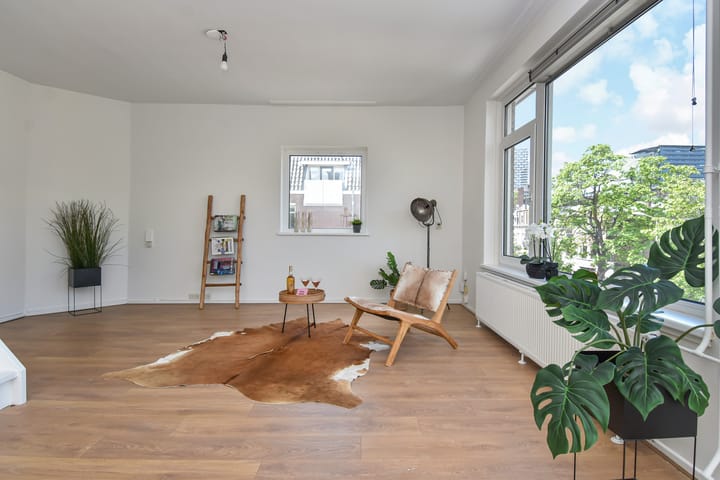 Foto 2 van Theresiastraat 75-B