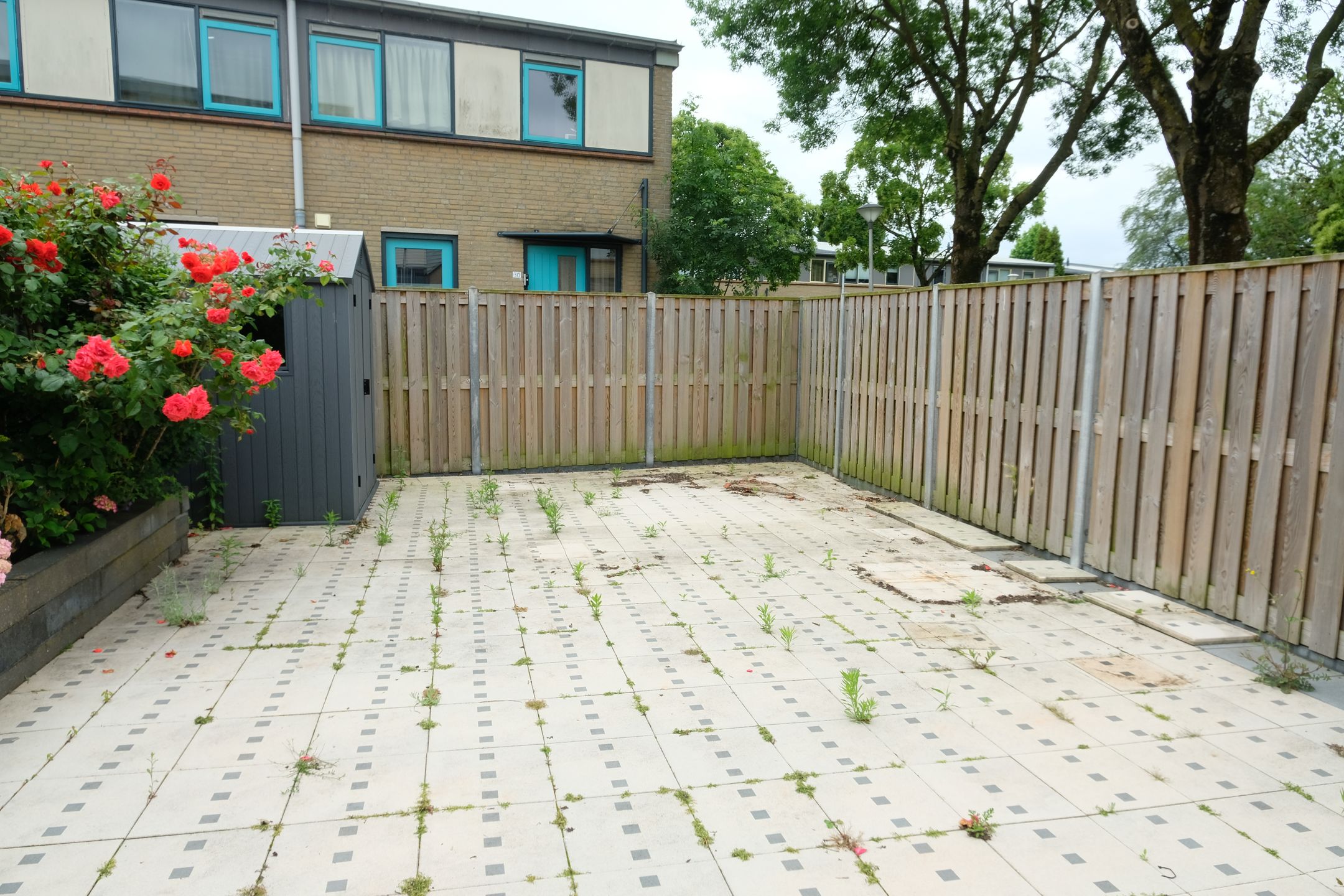 Foto 15 van Spartaveld 36