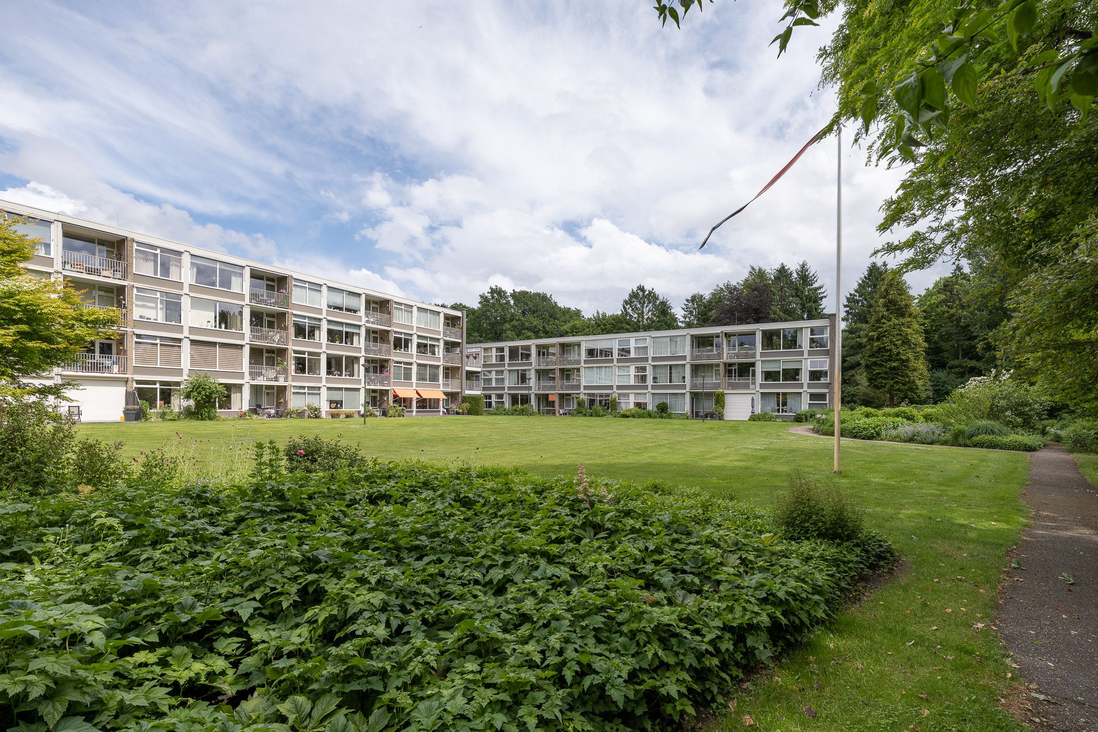 Foto 42 van Beukenhorst 87
