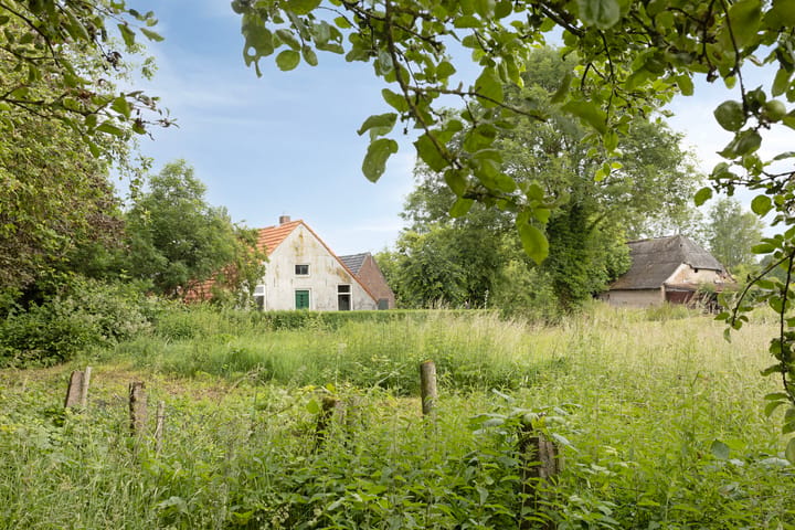 Foto 3 van 't Veld 3