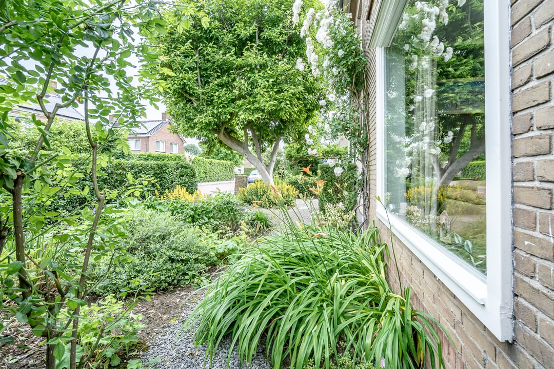 Photo 7 of Thorbeckestraat 53