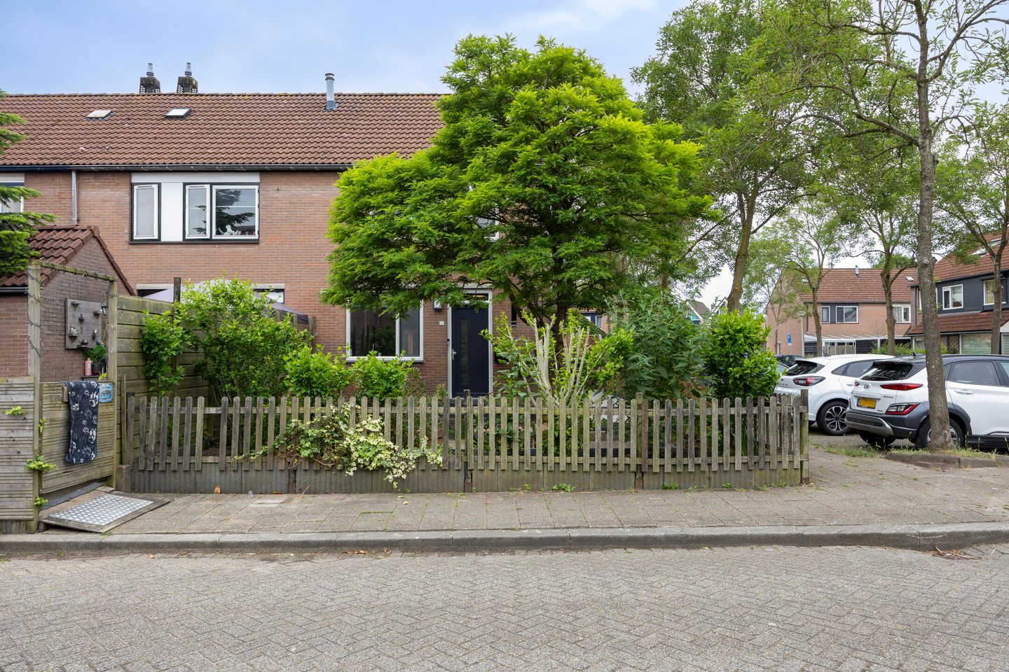 Foto 1 van Alikruik 14