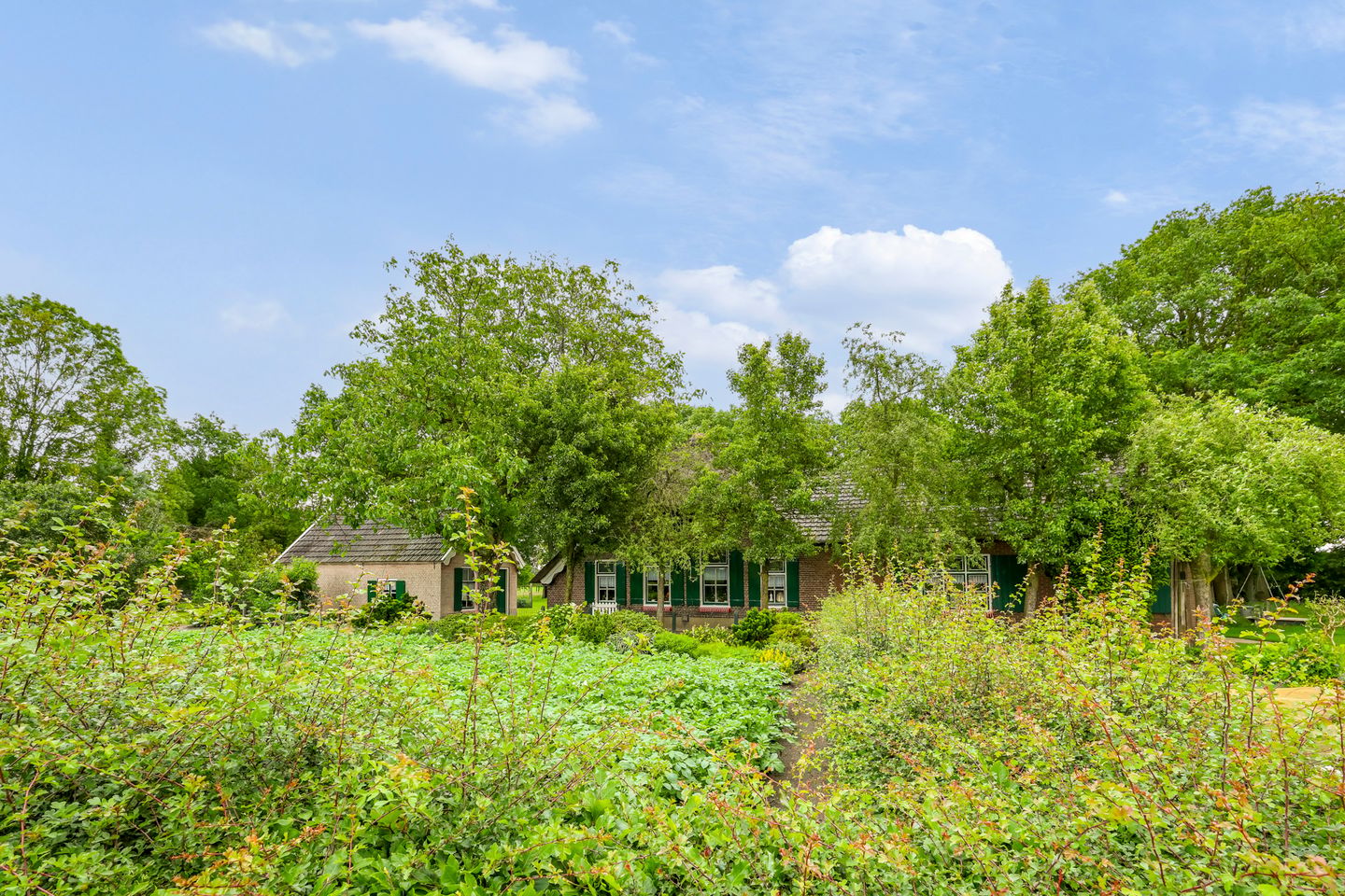 Foto 40 van Pasdijk 8