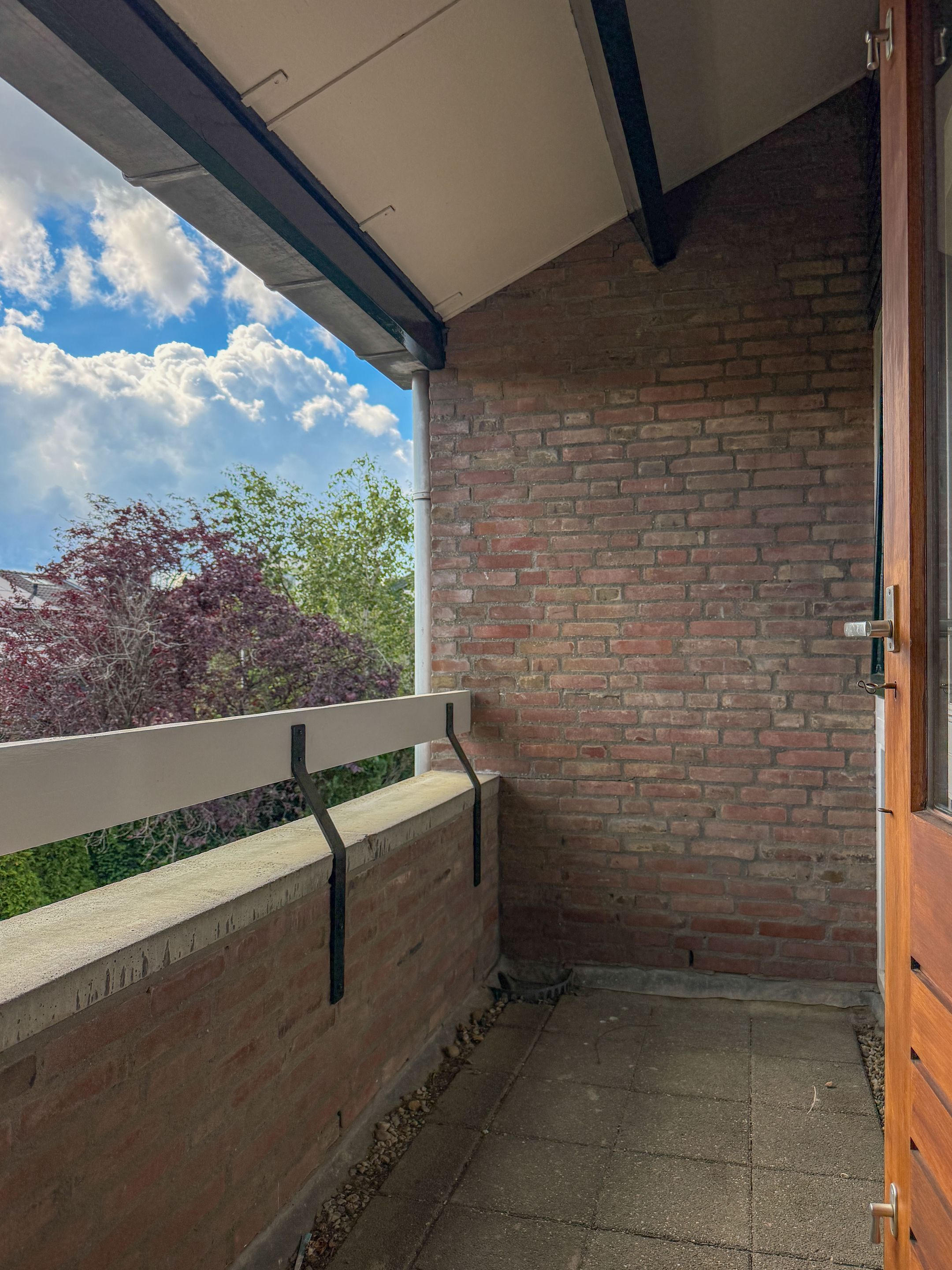 Photo 21 of Goudwespmeent 15