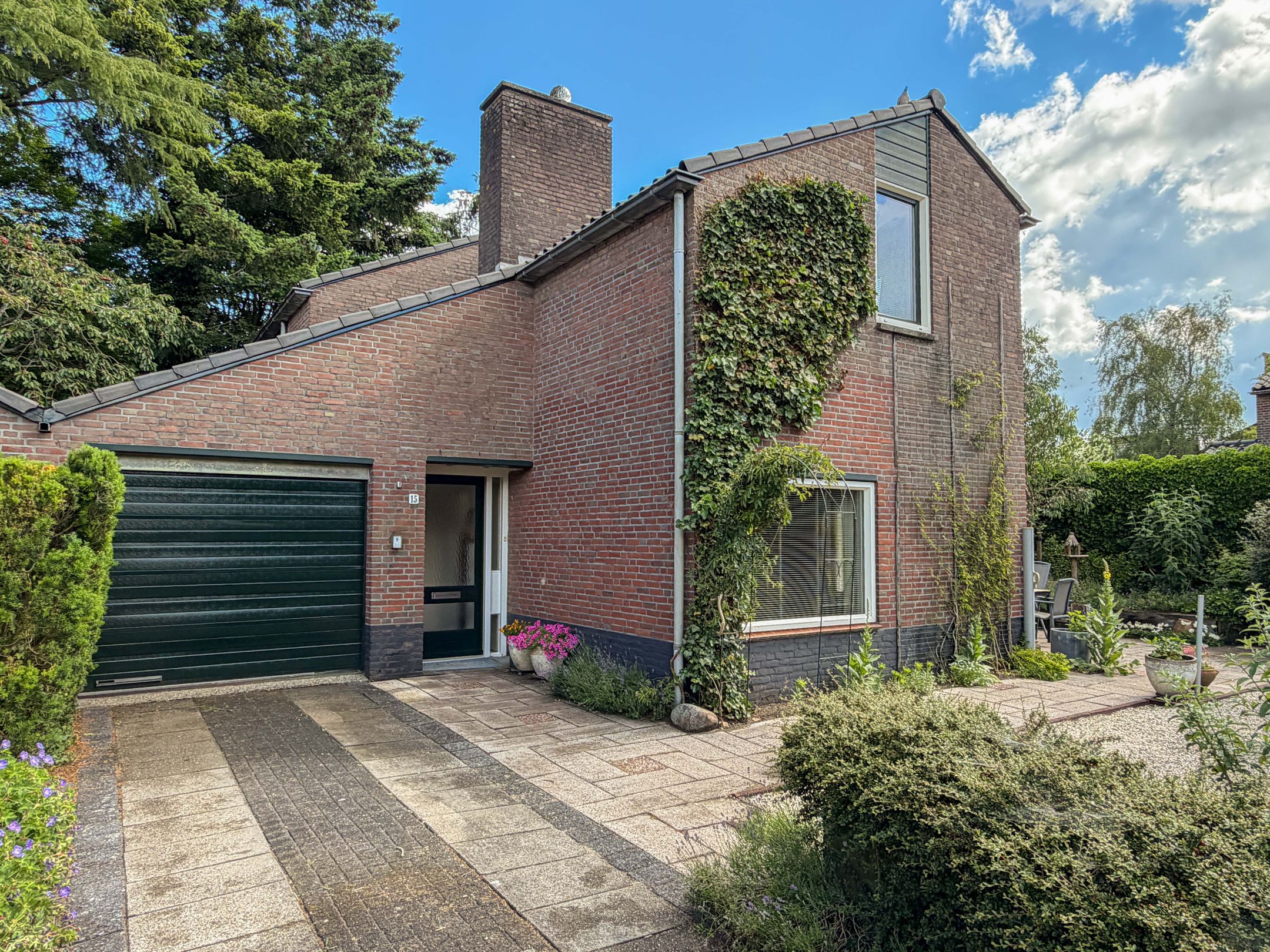 Photo 33 of Goudwespmeent 15