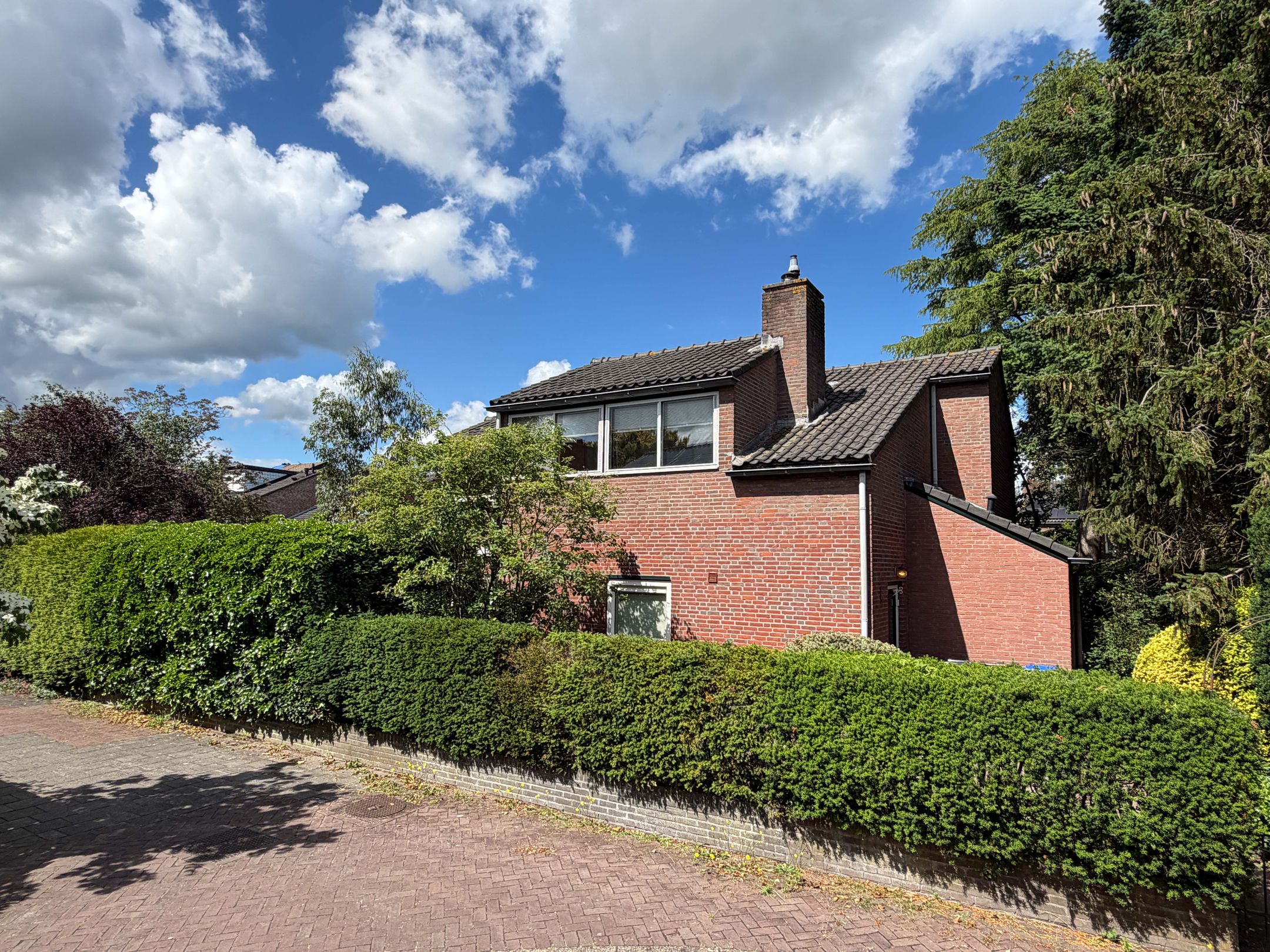 Photo 30 of Goudwespmeent 15