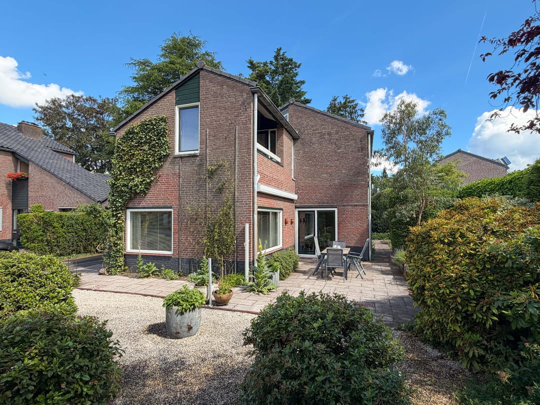 Photo 2 of Goudwespmeent 15