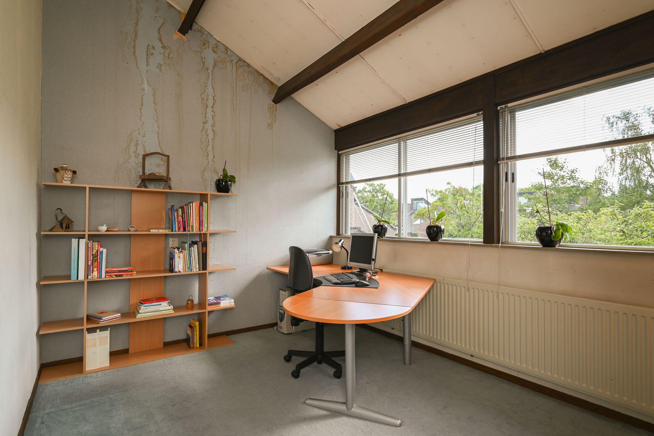 Photo 18 of Goudwespmeent 15
