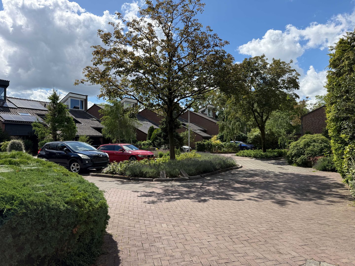 Photo 29 of Goudwespmeent 15